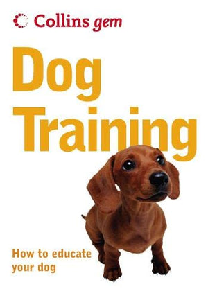 DOG TRAINING