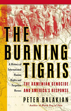 THE BURNING TIGRIS