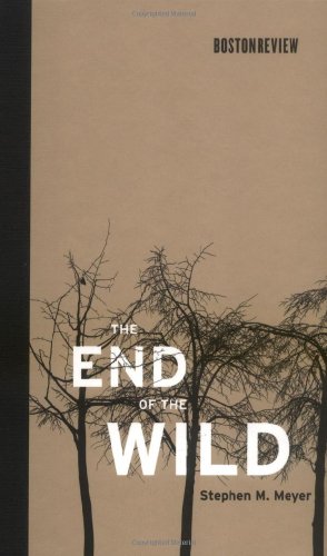 THE END OF THE WILD