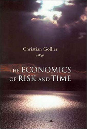 THE ECONOMICS OF RISK AND TIME
