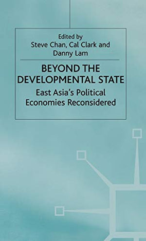 BEYOND THE DEVELOPMENTAL STATE