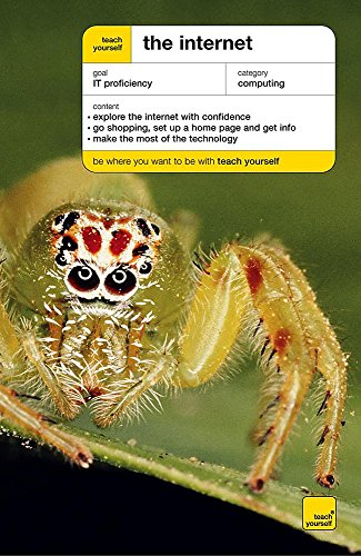 TEACH YOURSELF THE INTERNET - 6TH ED