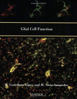 GLIAL CELL FUNCTION