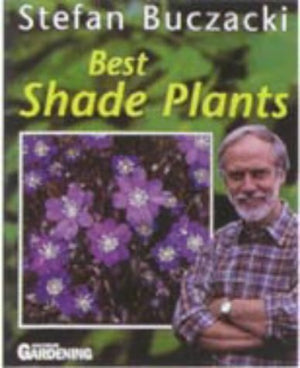 BEST SHADE PLANTS