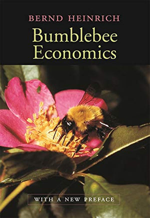 BUMBLEBEE ECONOMICS