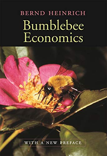 BUMBLEBEE ECONOMICS