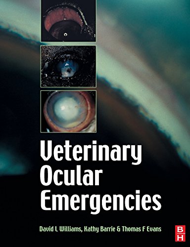 VETERINARY OCULAR EMERGENCIES