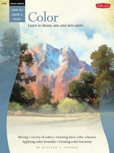 BEGINNER'S GUIDE: COLOR