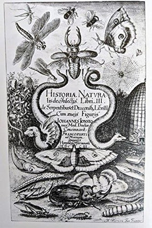 THE NATURAL HISTORY