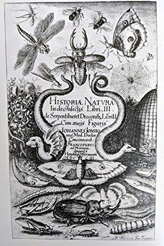 THE NATURAL HISTORY