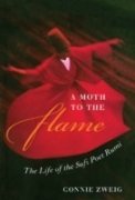 A MOTH TO THE FLAME