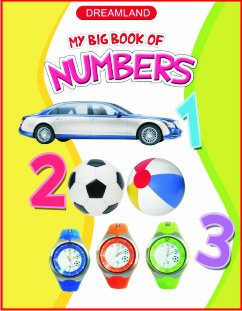 MY BIG BOOK OF NUMERS.