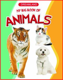 DREAMLAND'S:LEARN ABOUT COMPUTER