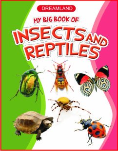 DREAMLAND MY BIG BOOK OF INSECTS & REPTILES