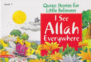 I SEE ALLAH EVERYWHERE