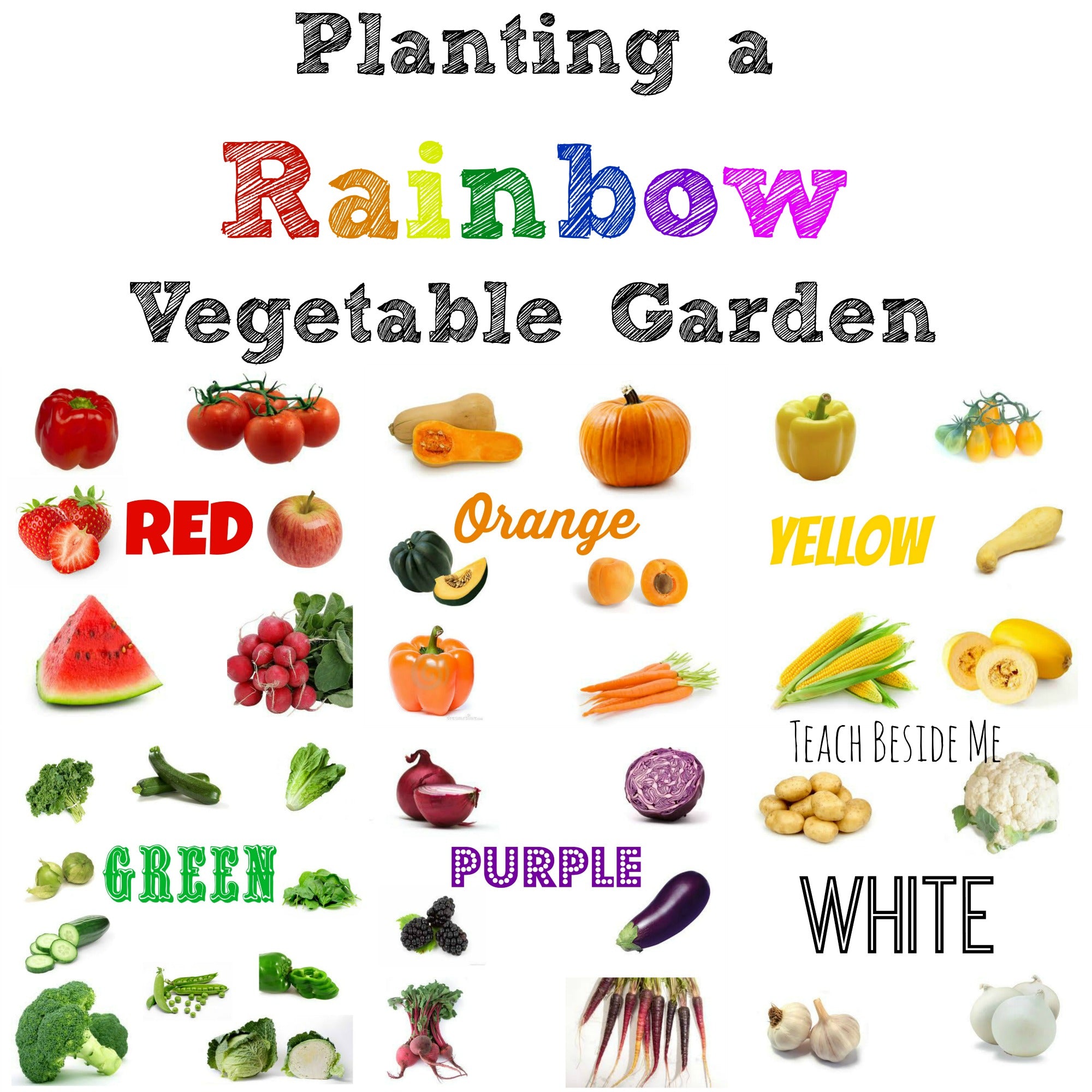 RAINBOW MY BOOK OF VEGETABLES