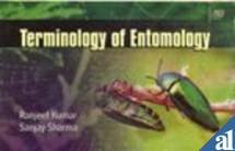 TERMINOLOGY OF ENTOMOLOGY