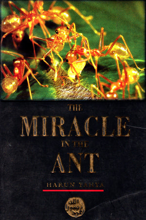 THE MIRACLE IN THE ANT