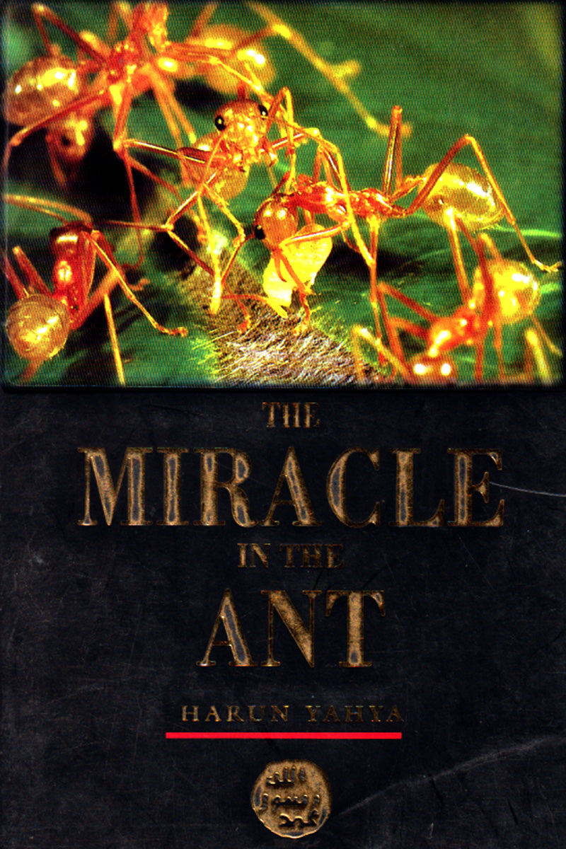THE MIRACLE IN THE ANT