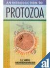 AN INTRODUCTION TO PROTOZOA