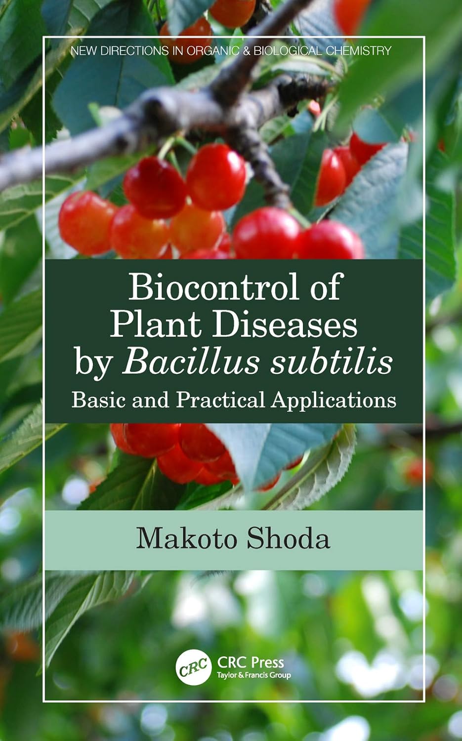 BIOCONTROL OF PLANT DISEASES BY BACILLUS SUBTILIS