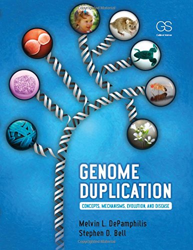 GENOME DUPLICATION