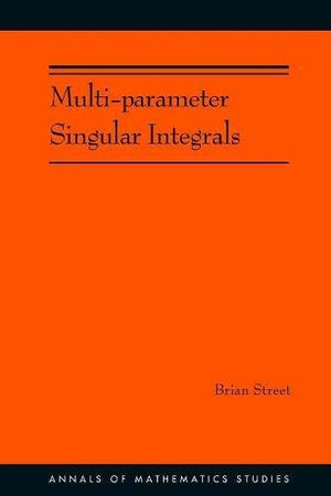 MULTI-PARAMETER SINGULAR INTEGRALS