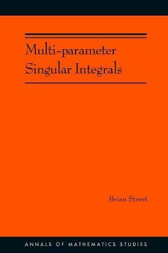 MULTI-PARAMETER SINGULAR INTEGRALS