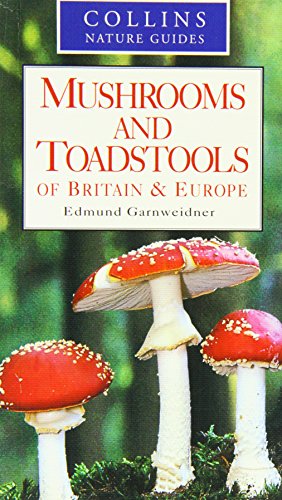 MUSHROOMS AND TOADSTOOLS