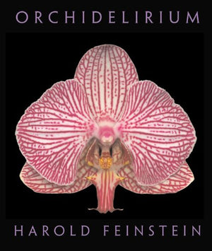 ORCHIDELIERIUM