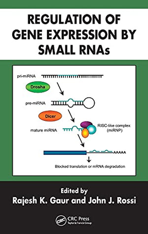 REGULATION OF GENE EXPRESSION BY SMALL RNAS