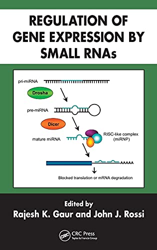 REGULATION OF GENE EXPRESSION BY SMALL RNAS