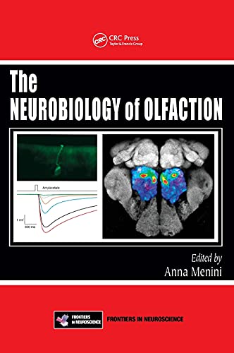 THE NEUROBIOLOGY OF OLFACTION
