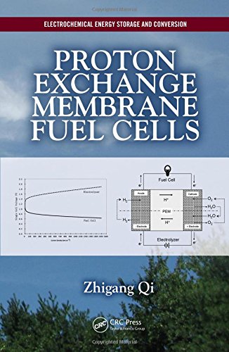 PROTON EXCHANGE MEMBRANE FUEL CELLS