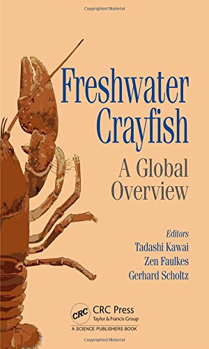 FRESHWATER CRAYFISH