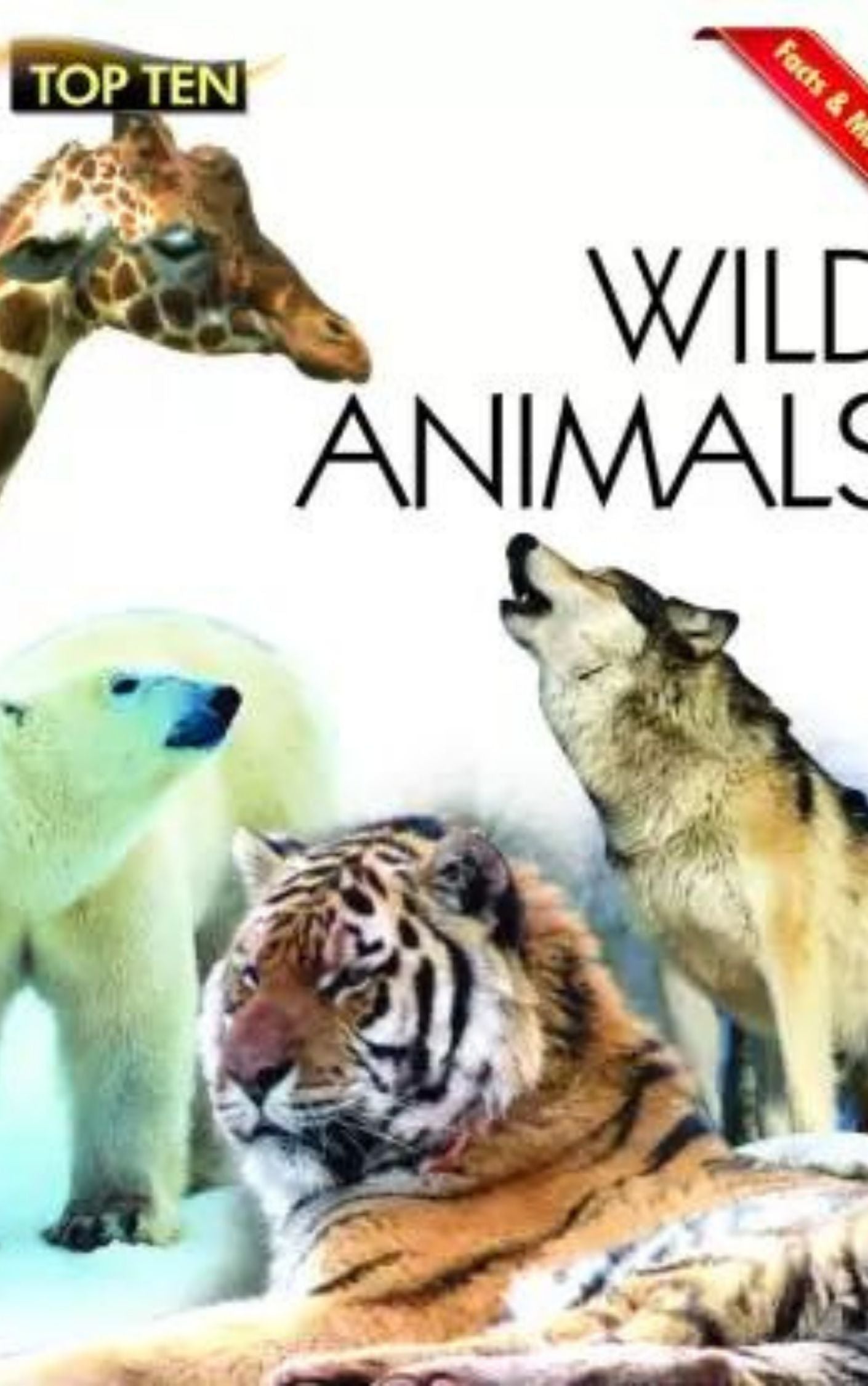 FACTS AND MORE: WILD ANIMALS