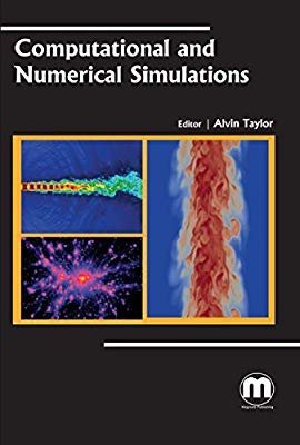 COMPUTATIONAL AND NUMERICAL SIMULATIONS