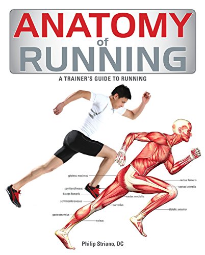 ANATOMY OF RUNNING