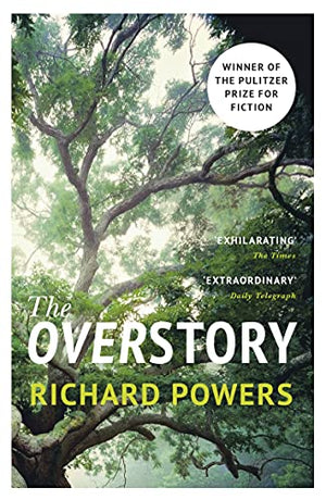 THE OVERSTORY