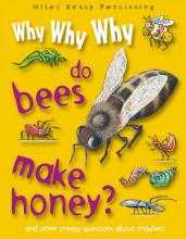 WHY WHY WHY DO BEES MAKE HONEY?