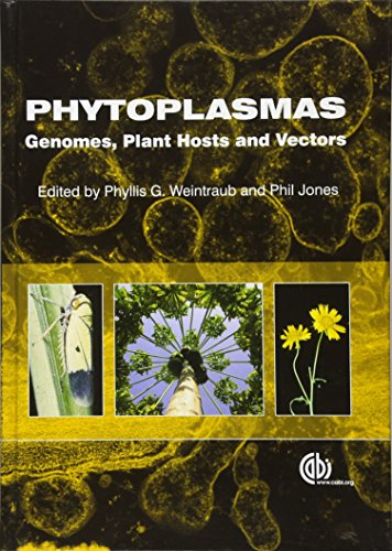 PHYTOPLASMAS