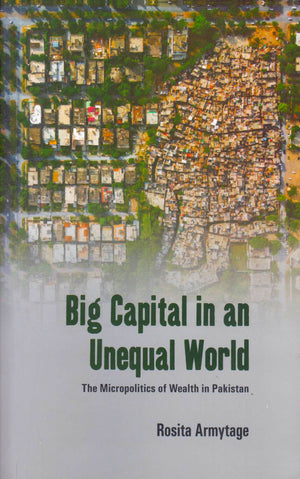 BIG CAPITAL IN AN UNEQUAL WORLD