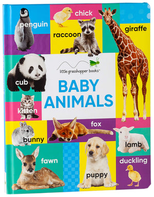 KNOW ALL ABOUT BABAY ANIMALS