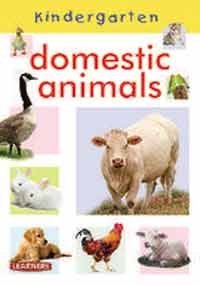 DOMESTICS ANIMALS