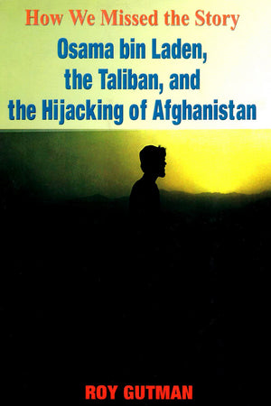 HOW WE MISSED THE STORY