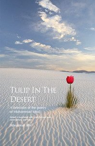 TULIP IN THE DESERT