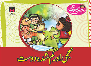 NAJMI AUR KHAWAB NAGAR: NAJMI AUR GHUM SHUDA DOST