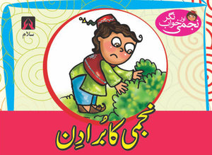 NAJMI AUR KHAWAB NAGAR: NAJMI KA BURA DIN