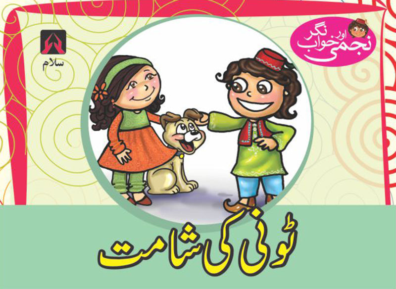 NAJMI AUR KHAWAB NAGAR: TONI KI SHAMAT