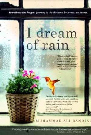 I DREAM OF RAIN